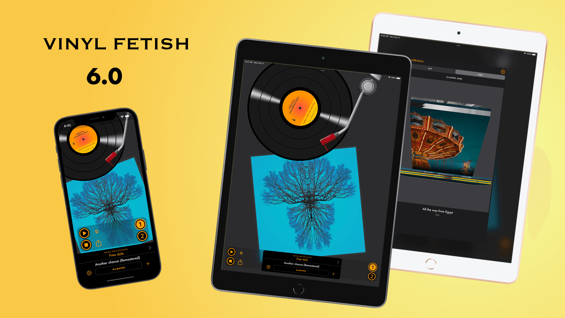 The vinyl experience now on your iPad